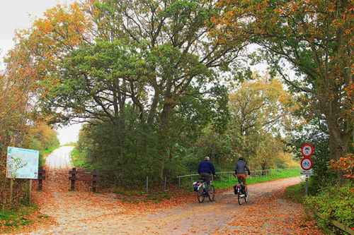 Budget Vrouwenpolder